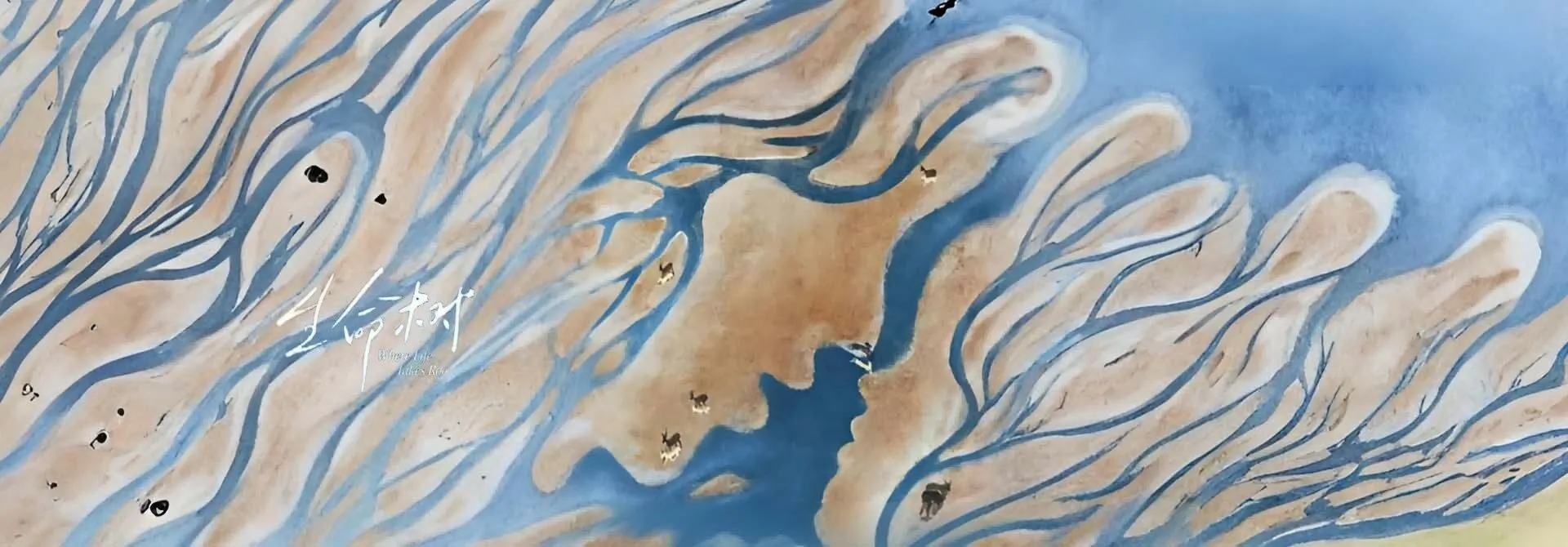 生命树